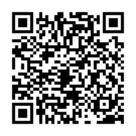 QR code for plate DE3-C313