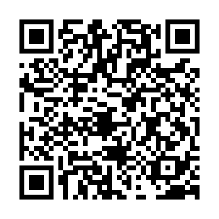 QR code for DE9-L381