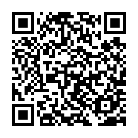 QR code for plate DFL-685