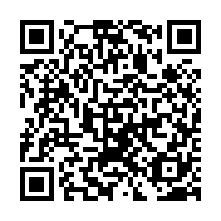QR code for plate DFS-870