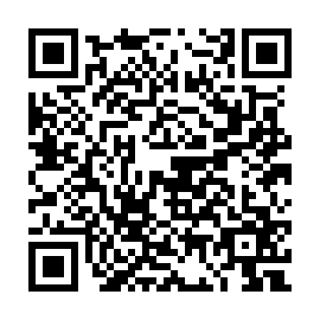 QR code for plate DG1-O665