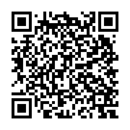 QR code for plate DGU-606