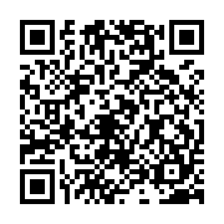 QR code for plate DH1-M546