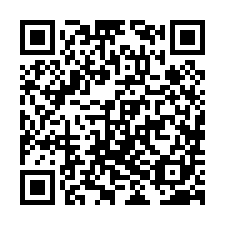 QR code for plate DHH-081