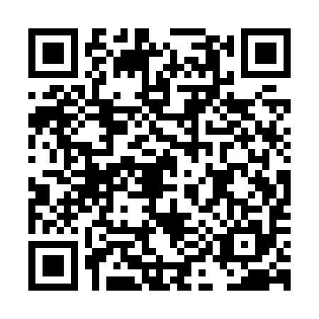 QR code for DI1-Z953