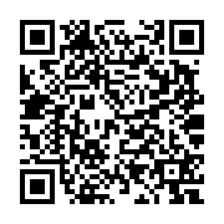 QR code for DI6T217