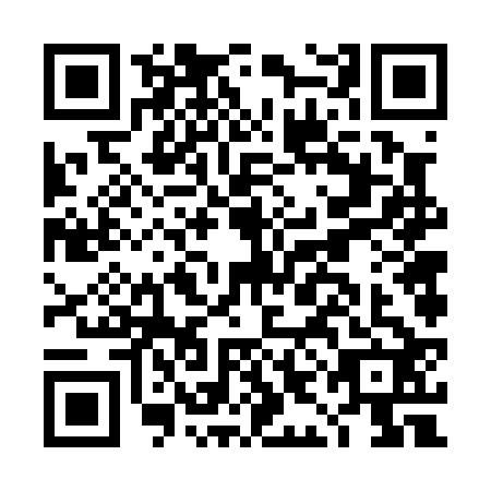 QR code for DIF-0221