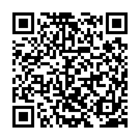 QR code for DIQ-733