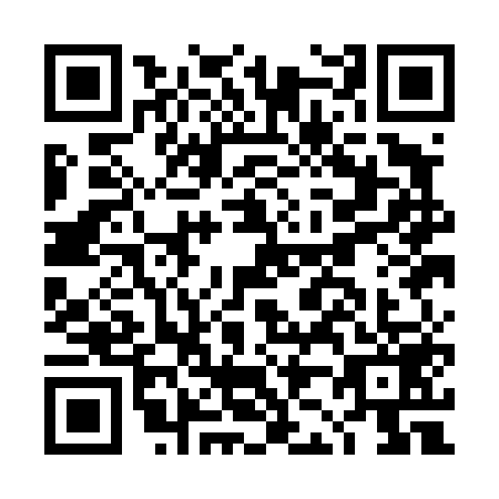 QR code for plate DJ1-D593