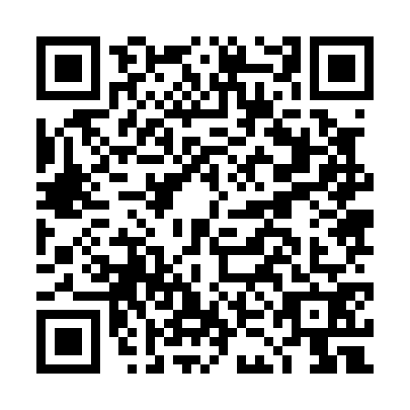 QR code for plate DKJ-0729