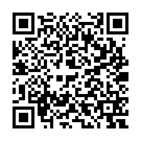 QR code for plate DL0-S617