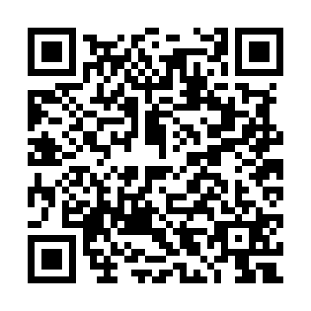 QR code for DL2-M211