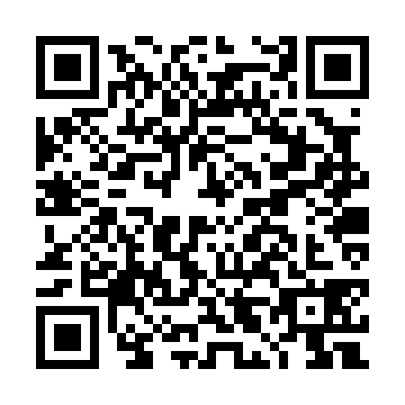 QR code for DL2-P382