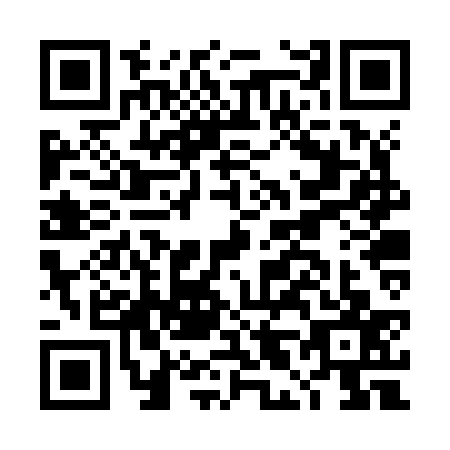 QR code for DL2-Z371
