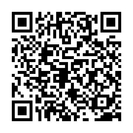QR code for DL2-Z398