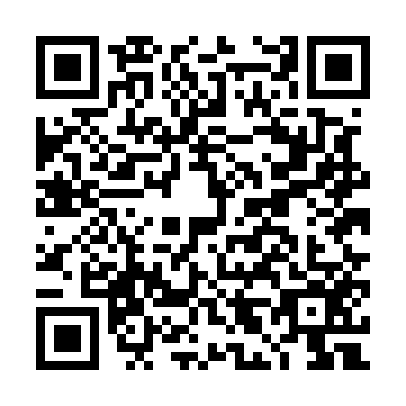 QR code for plate DL5-E565