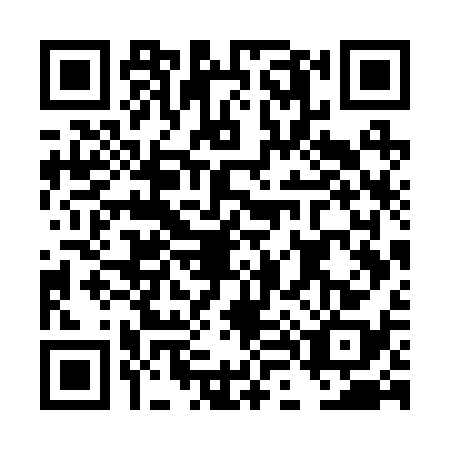 QR code for DL7-R384