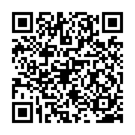 QR code for DL9-N308