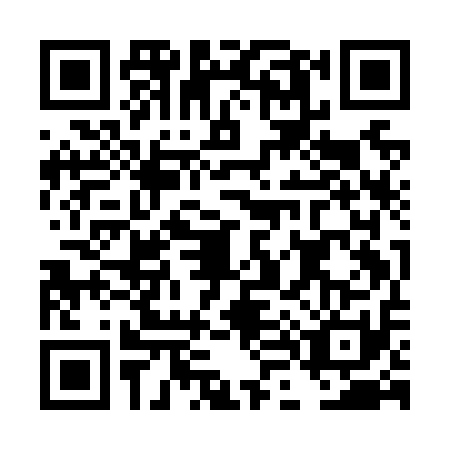 QR code for plate DL9-N117