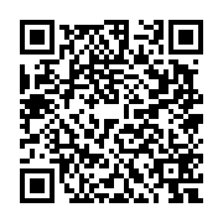 QR code for DLQ4597
