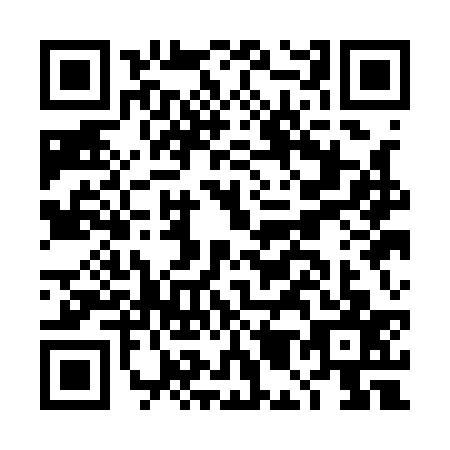 QR code for plate DM1-A370