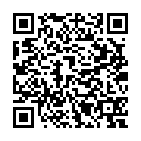 QR code for DM3-P342