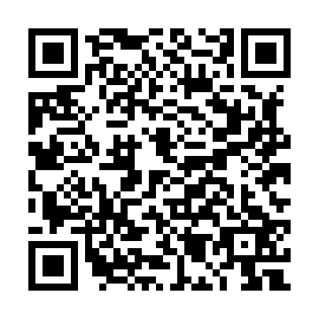 QR code for DM5-H234