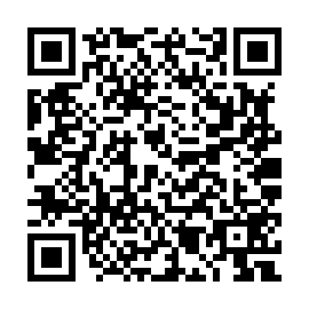 QR code for plate DM6-X597