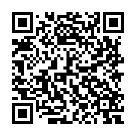 QR code for plate DMI-906