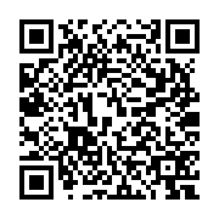 QR code for DN2-Z767