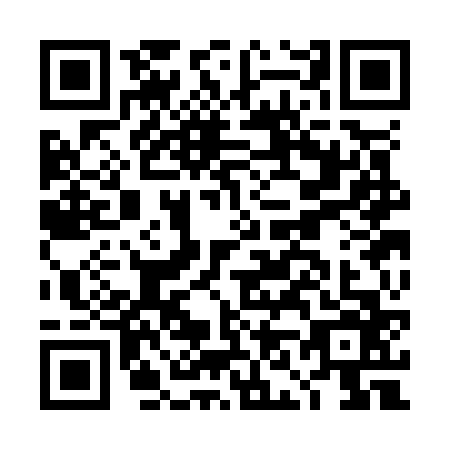 QR code for DN3-O666