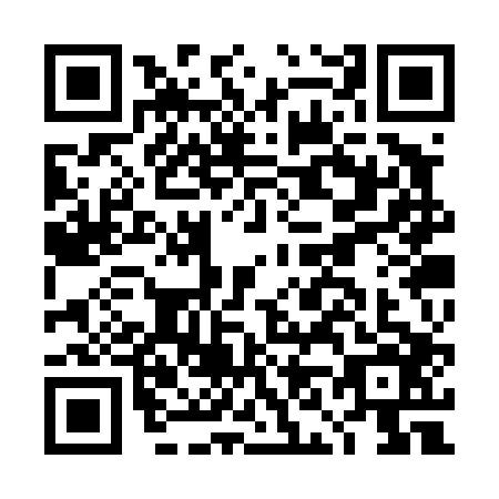 QR code for DN3-T066