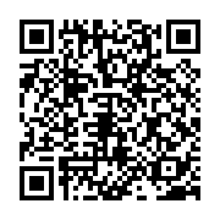 QR code for DN6P383