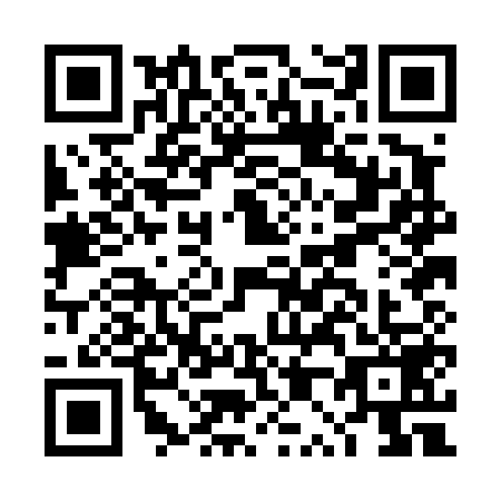 QR code for DP0-D594