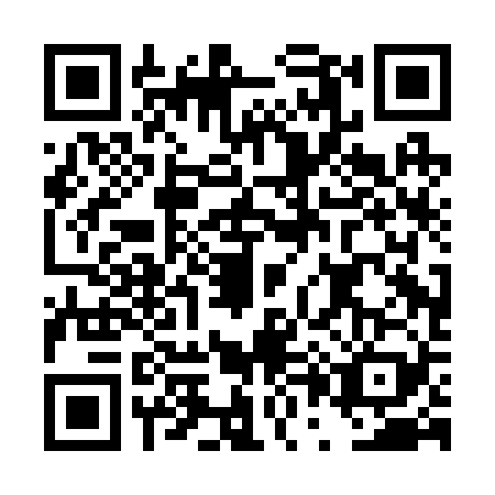 QR code for plate DP0-B298