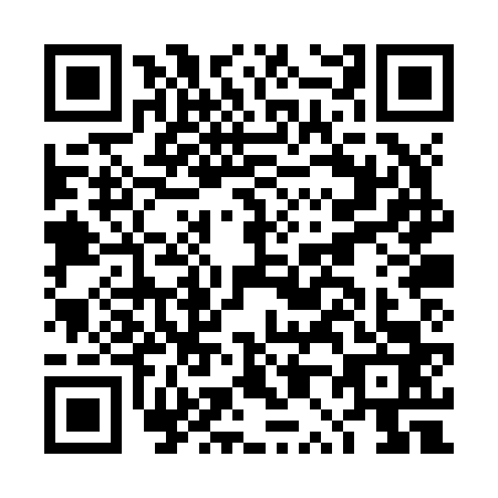 QR code for DP0Z636
