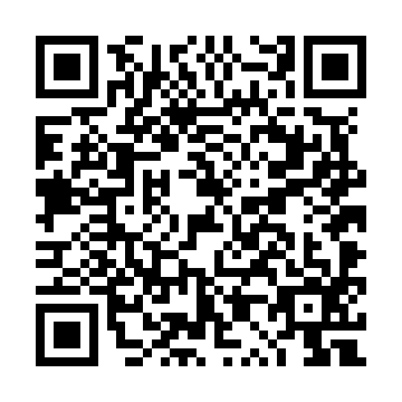 QR code for DP4N964