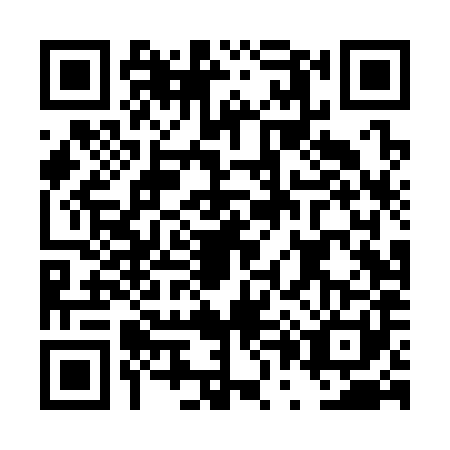 QR code for DP4S816