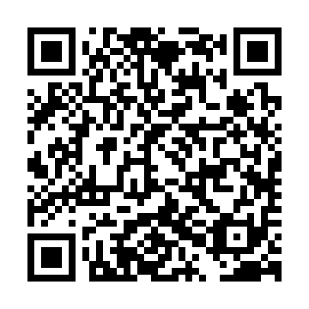 QR code for plate DPB-311