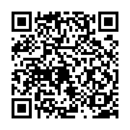 QR code for DQ1E382