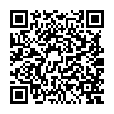 QR code for DQ2-X868
