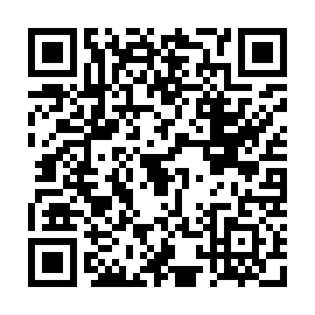 QR code for DQ4-I311