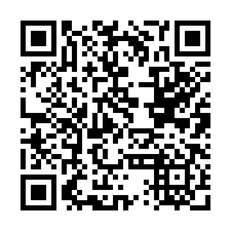 QR code for plate DQB-389