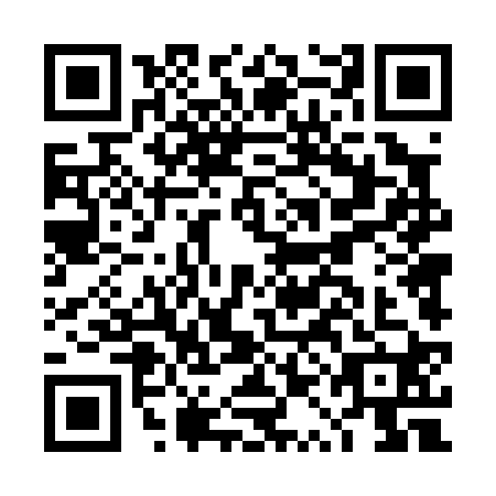 QR code for plate DQD-0203