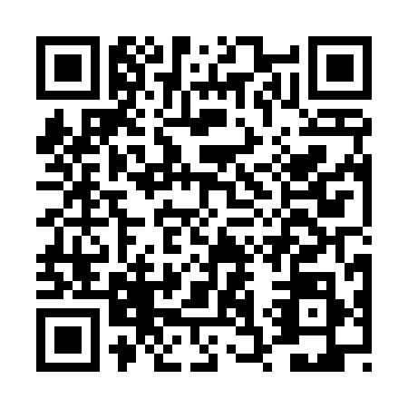 QR code for DS0-T980