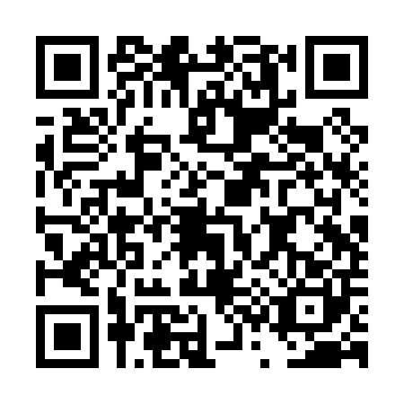 QR code for DS2-P007