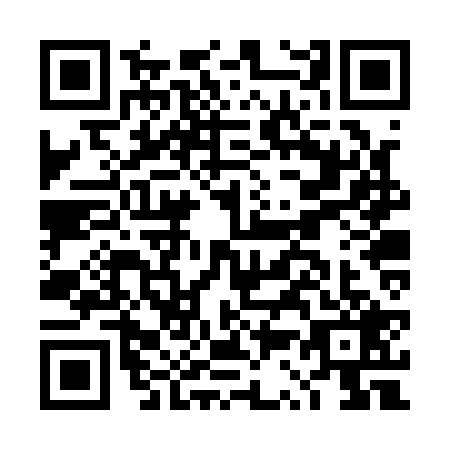 QR code for plate DS2-Q296