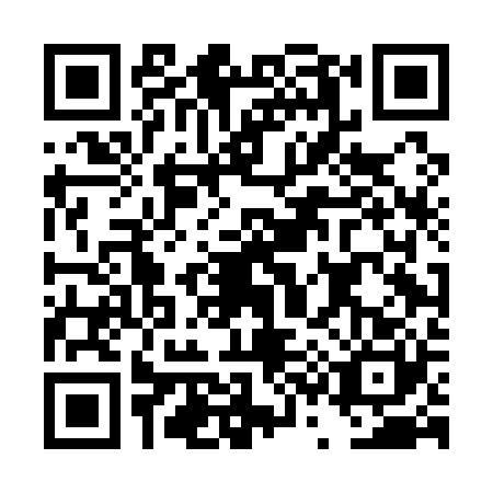 QR code for plate DS4-A203