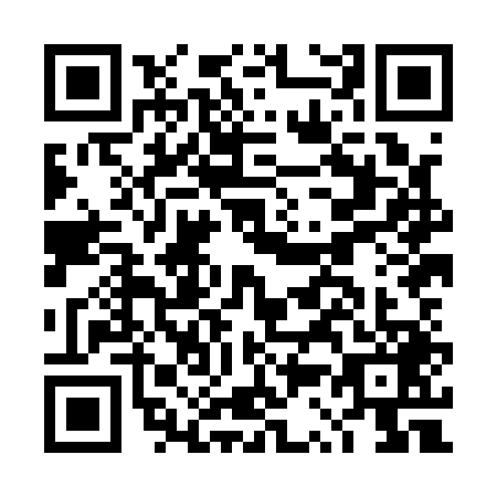 QR code for plate DS8-A493