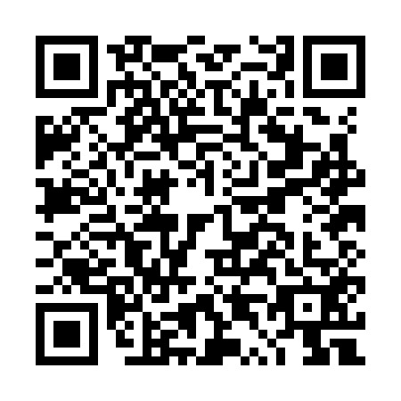 QR code for DT0-K520